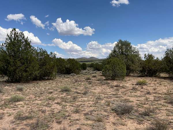 36.3 Acres of Recreational Land & Farm for Sale in Seligman, Arizona