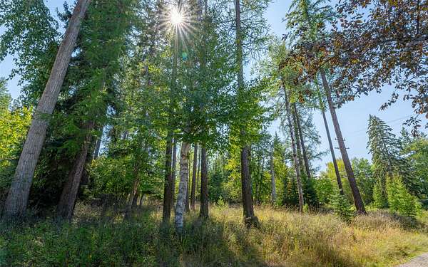 0.39 Acres of Residential Land for Sale in Whitefish, Montana