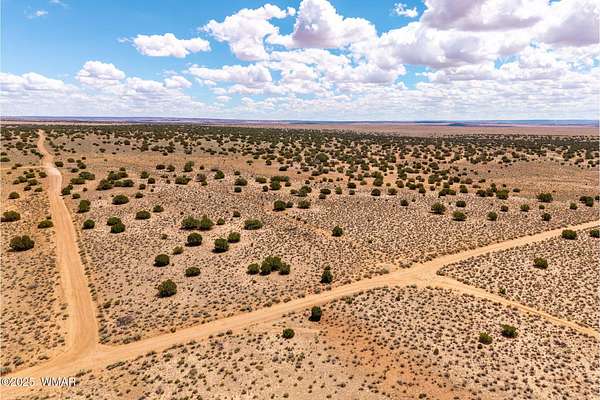 75 Acres of Recreational Land for Sale in St. Johns, Arizona