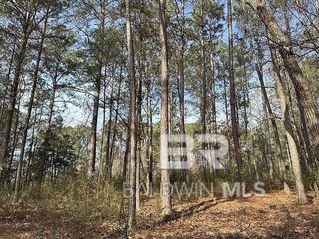 7.7 Acres of Residential Land for Sale in Bay Minette, Alabama