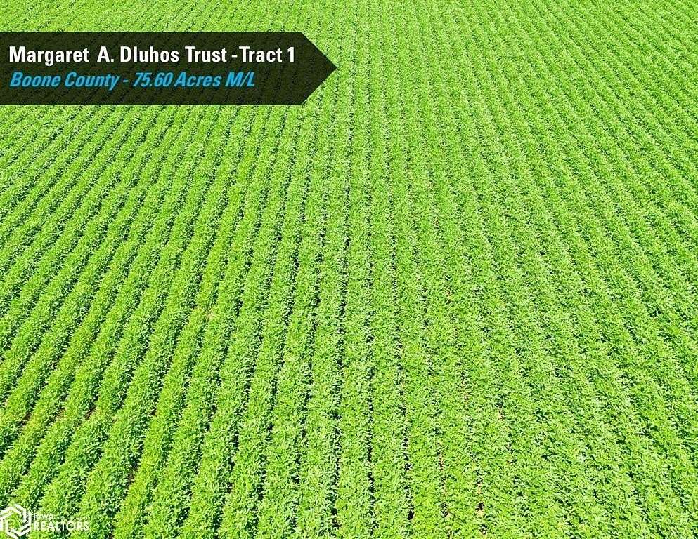 75.6 Acres of Agricultural Land for Auction in Woodward, Iowa