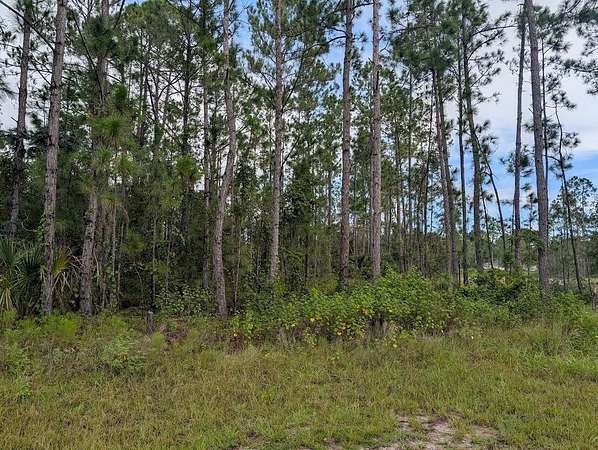 0.53 Acres of Residential Land for Sale in Indian Lake Estates, Florida