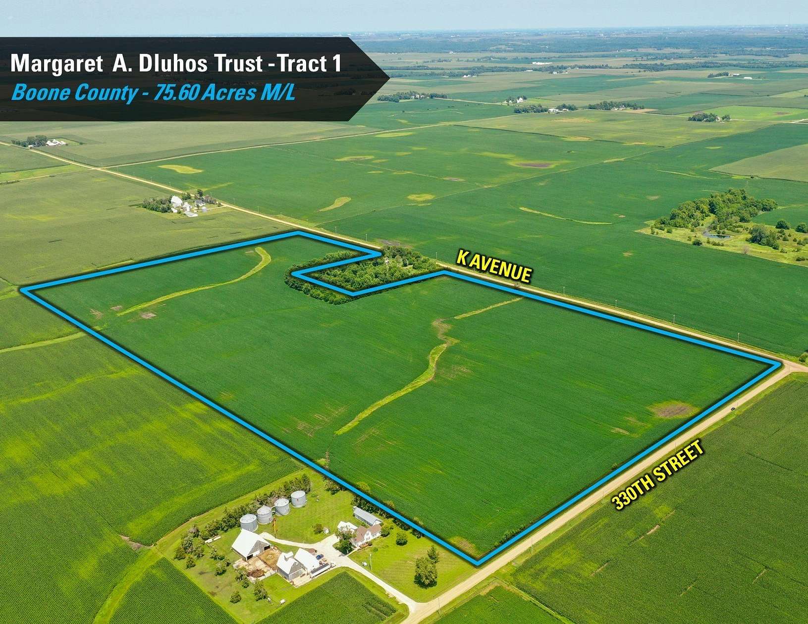 75.6 Acres of Agricultural Land for Auction in Woodward, Iowa