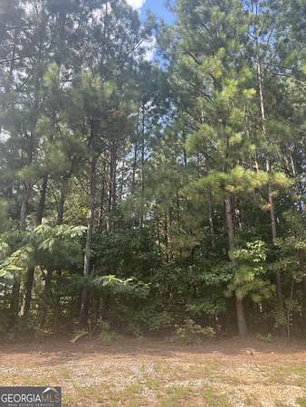 1.6 Acres of Residential Land for Sale in Loganville, Georgia