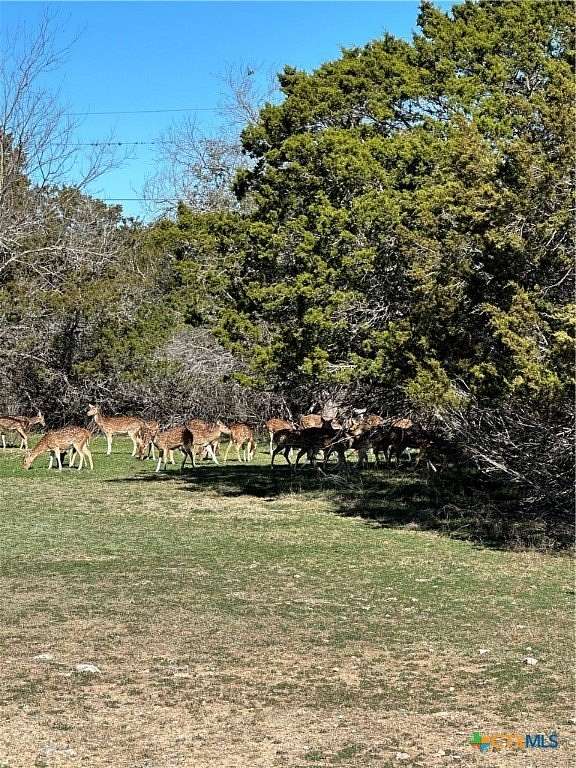 0.24 Acres of Residential Land for Sale in Bandera, Texas