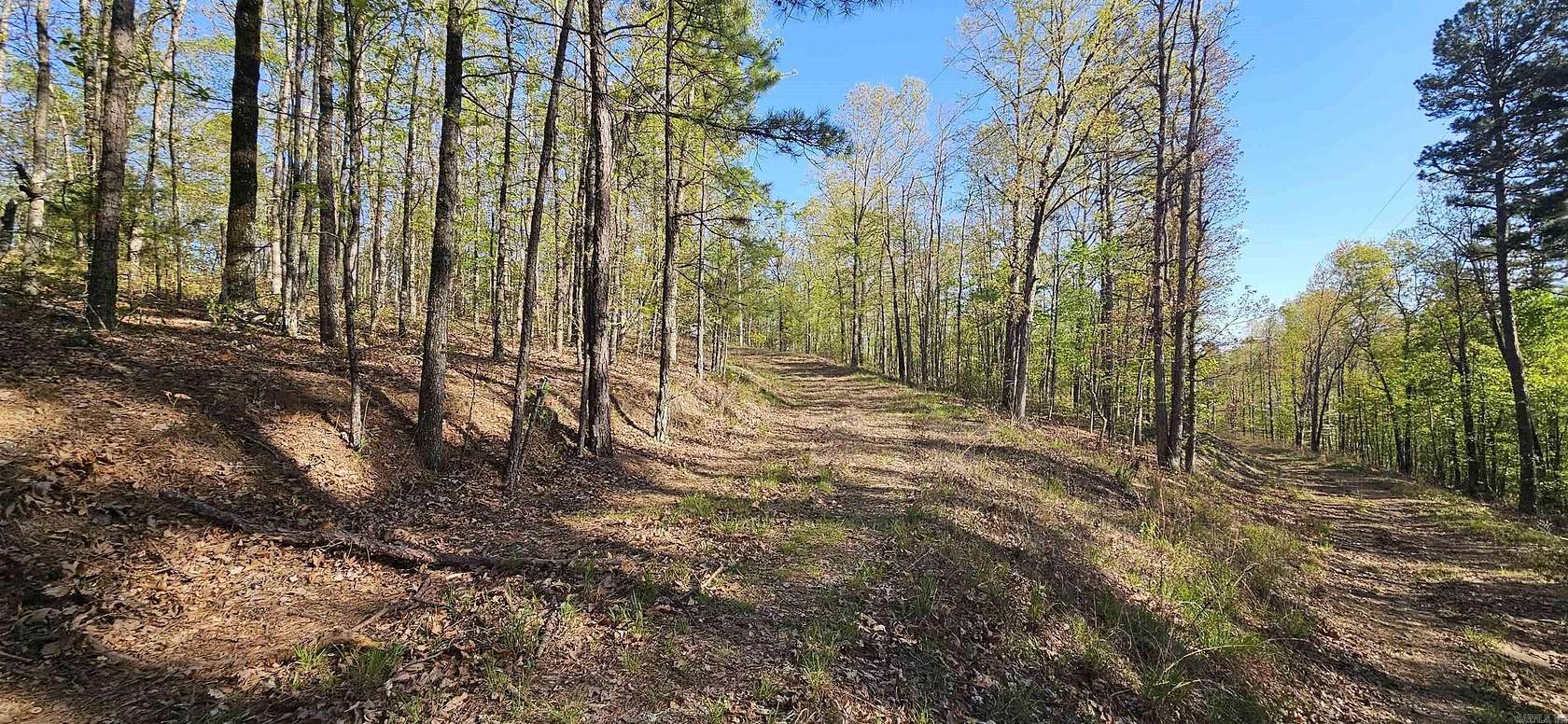 20 Acres of Recreational Land for Sale in Shirley, Arkansas