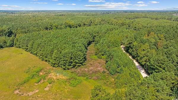 3.2 Acres of Residential Land for Sale in Nichols, South Carolina