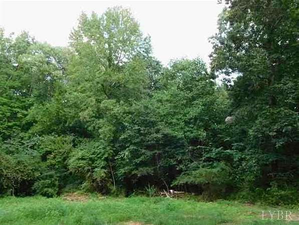 24.2 Acres of Land for Sale in Drakes Branch, Virginia