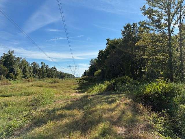 47 Acres of Land for Sale in Halls, Tennessee