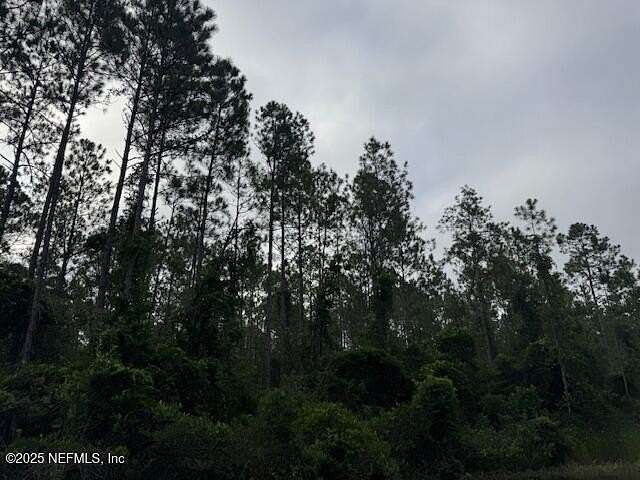 1.14 Acres of Residential Land for Sale in Hastings, Florida