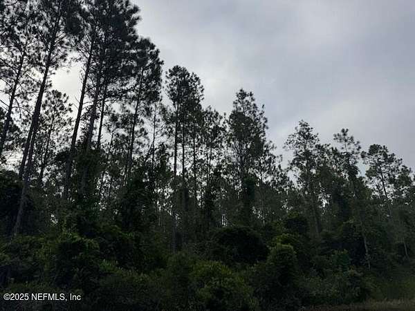 1.14 Acres of Residential Land for Sale in Hastings, Florida