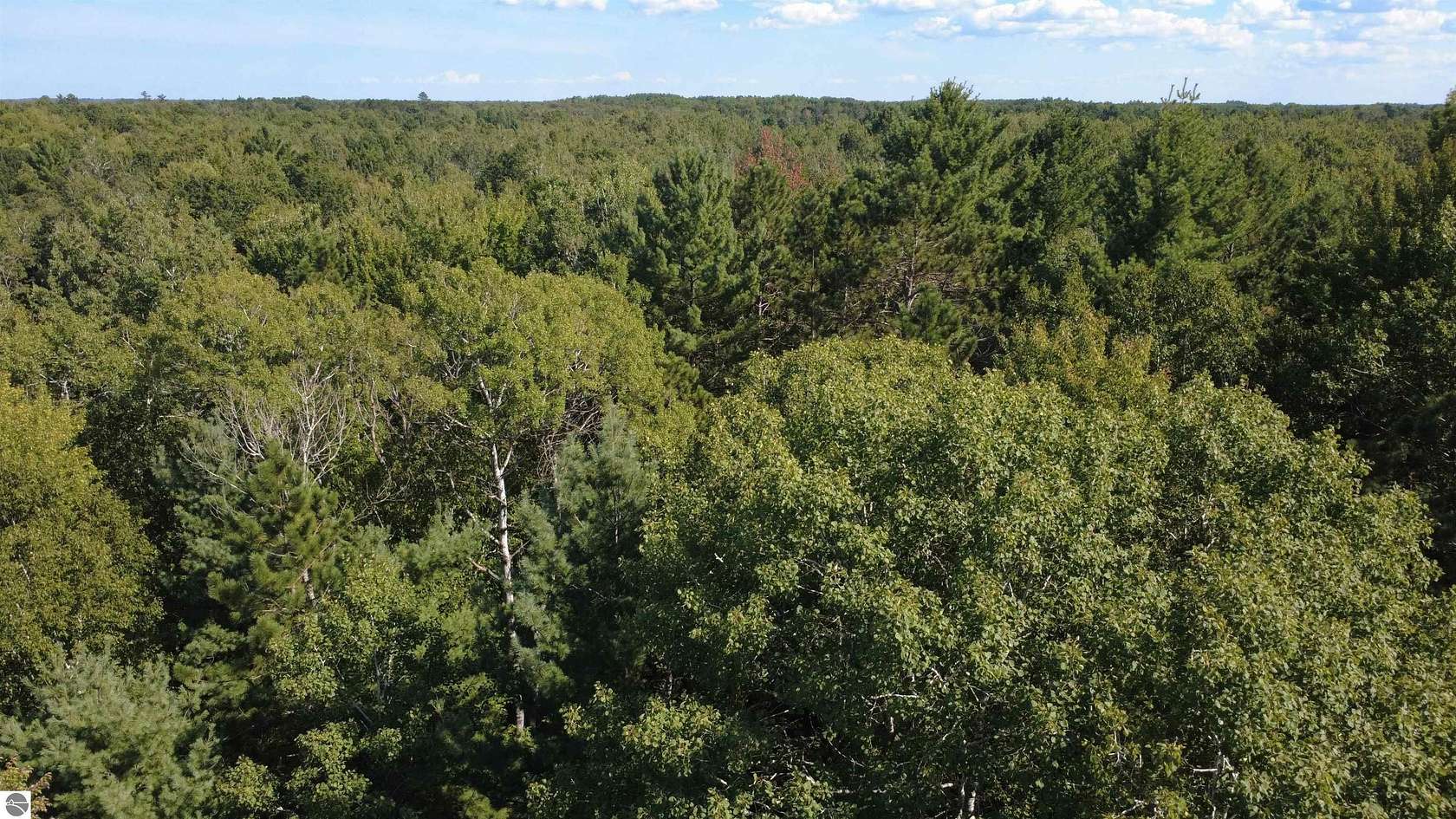 40 Acres of Recreational Land for Sale in Alger, Michigan
