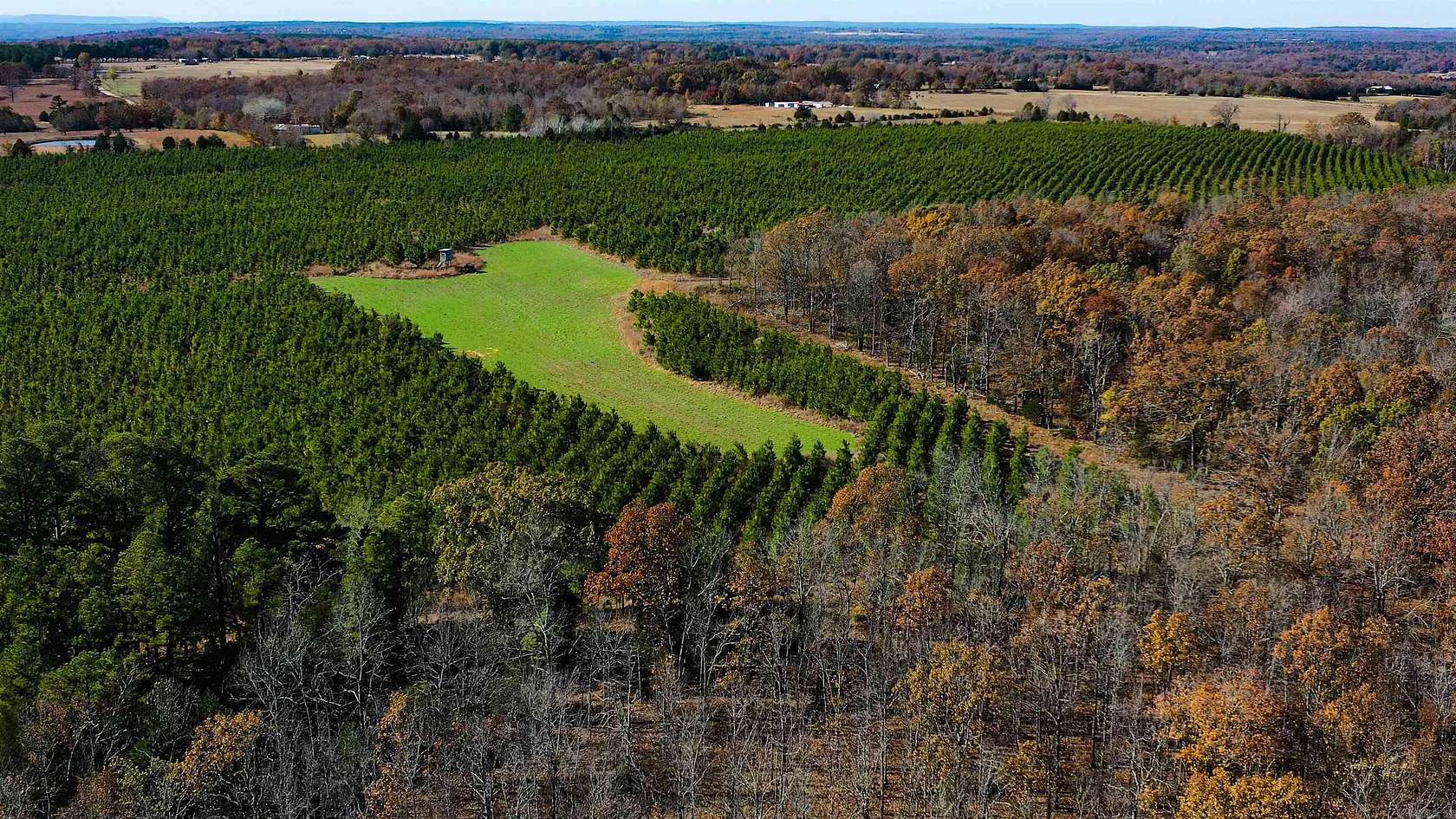 1,230 Acres of Recreational Land & Farm for Sale in Judsonia, Arkansas