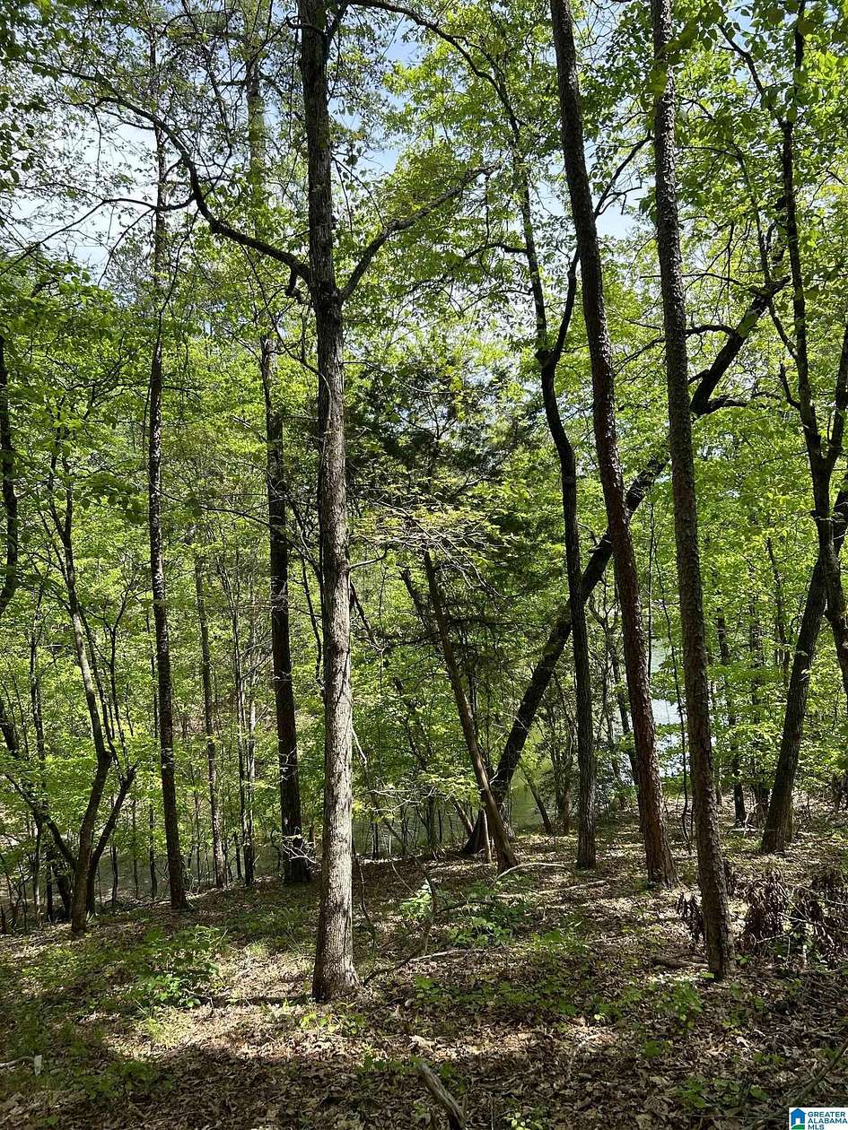 0.76 Acres of Residential Land for Sale in Wedowee, Alabama