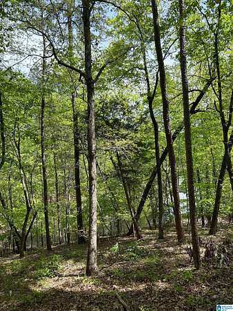 0.76 Acres of Residential Land for Sale in Wedowee, Alabama