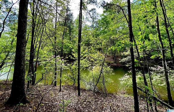 2.25 Acres of Residential Land for Sale in Wedowee, Alabama