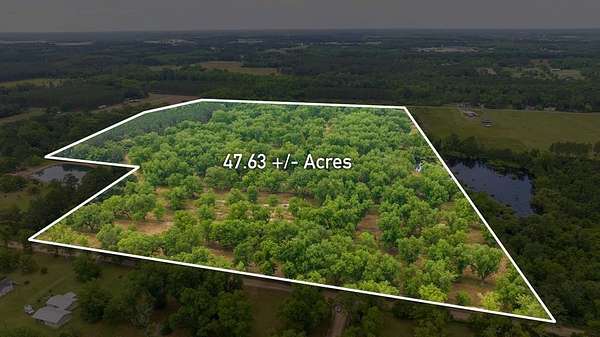 47.7 Acres of Land for Sale in Fitzgerald, Georgia