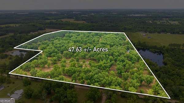47.7 Acres of Agricultural Land for Sale in Fitzgerald, Georgia