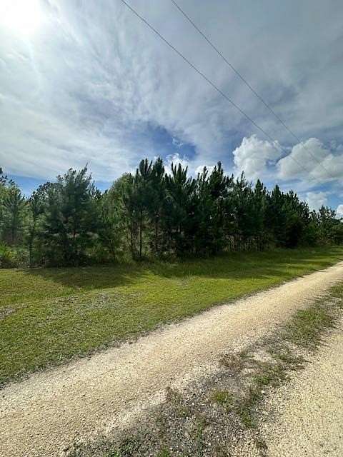 1.4 Acres of Residential Land for Sale in Altha, Florida