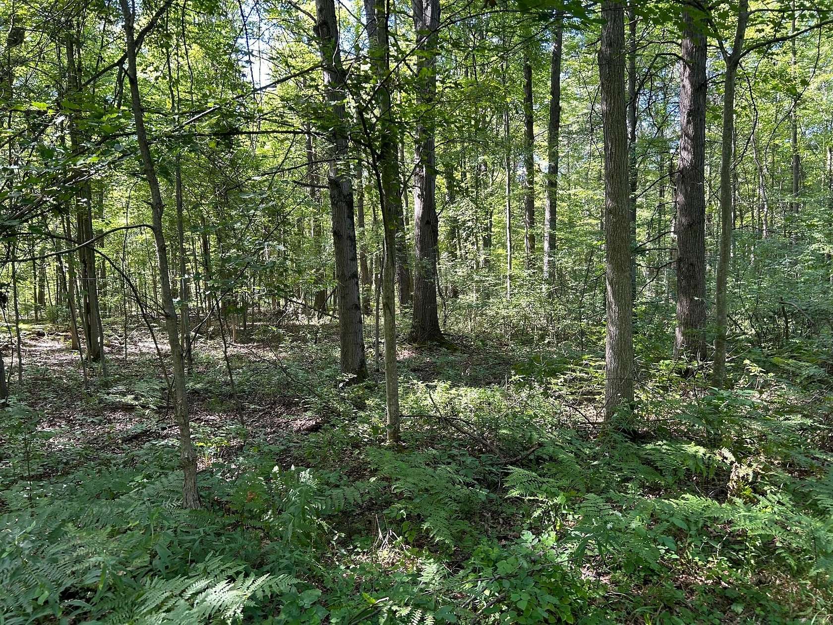 19.3 Acres of Recreational Land for Sale in Shepherd, Michigan