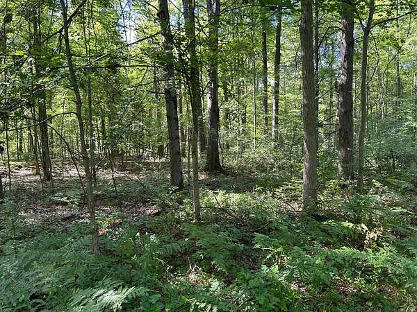 19.3 Acres of Recreational Land for Sale in Shepherd, Michigan