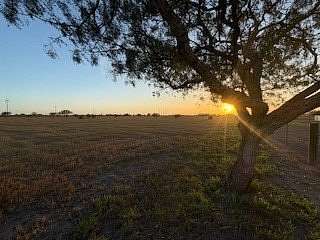 13 Acres of Land for Sale in Odem, Texas