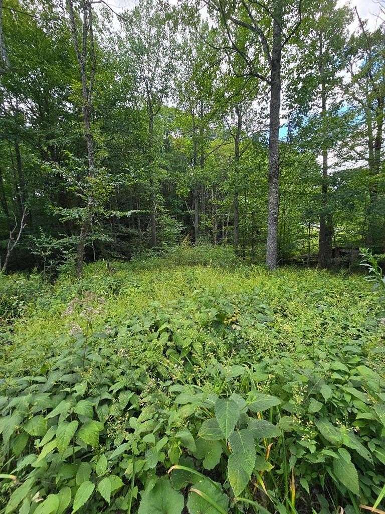 0.99 Acres of Residential Land for Sale in Troutdale, Virginia