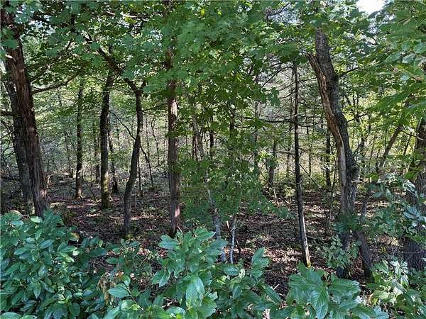 0.34 Acres of Land for Sale in Holiday Island, Arkansas