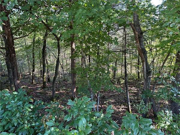 0.34 Acres of Land for Sale in Holiday Island, Arkansas