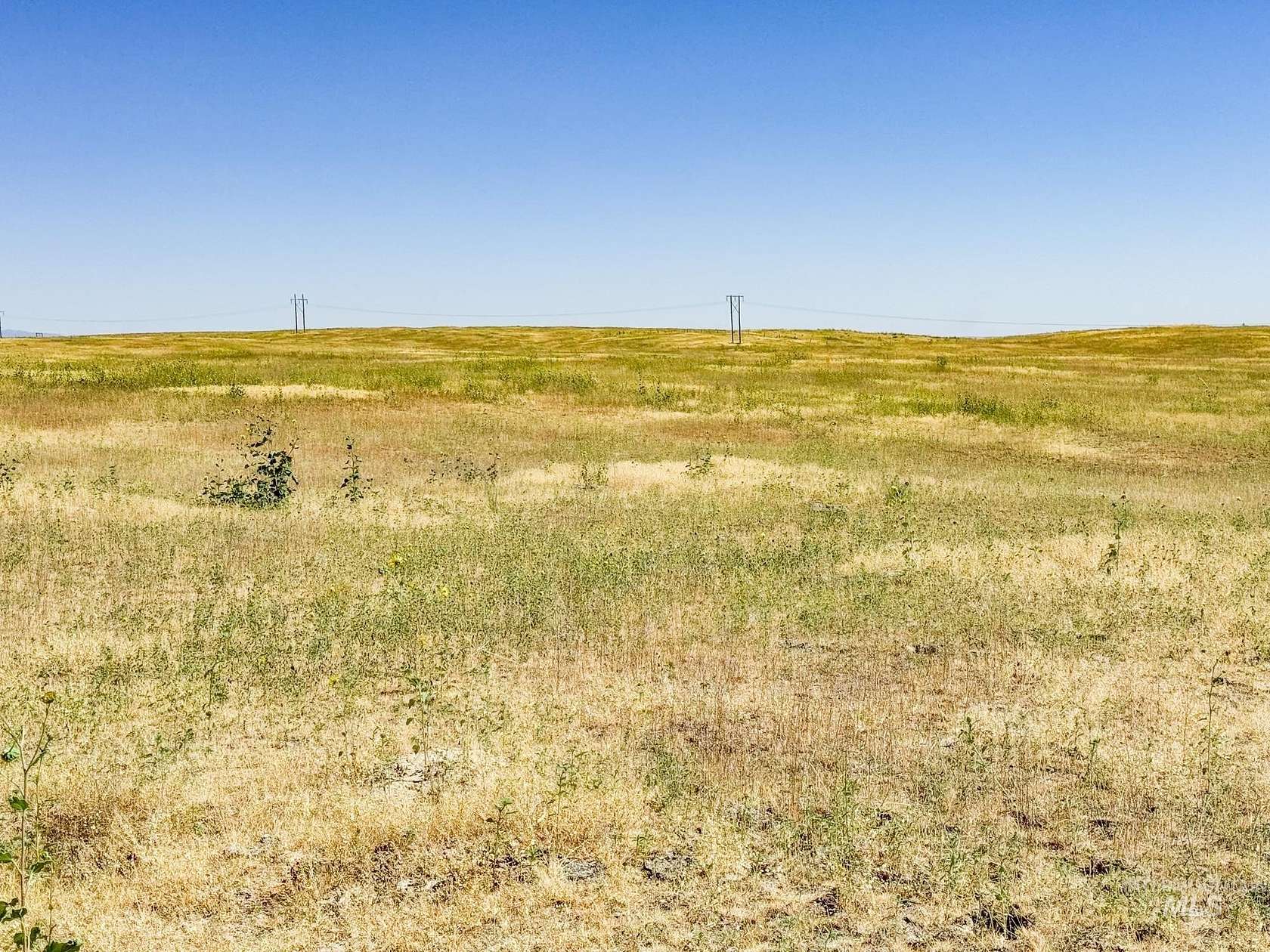 929 Acres of Agricultural Land for Sale in Payette, Idaho