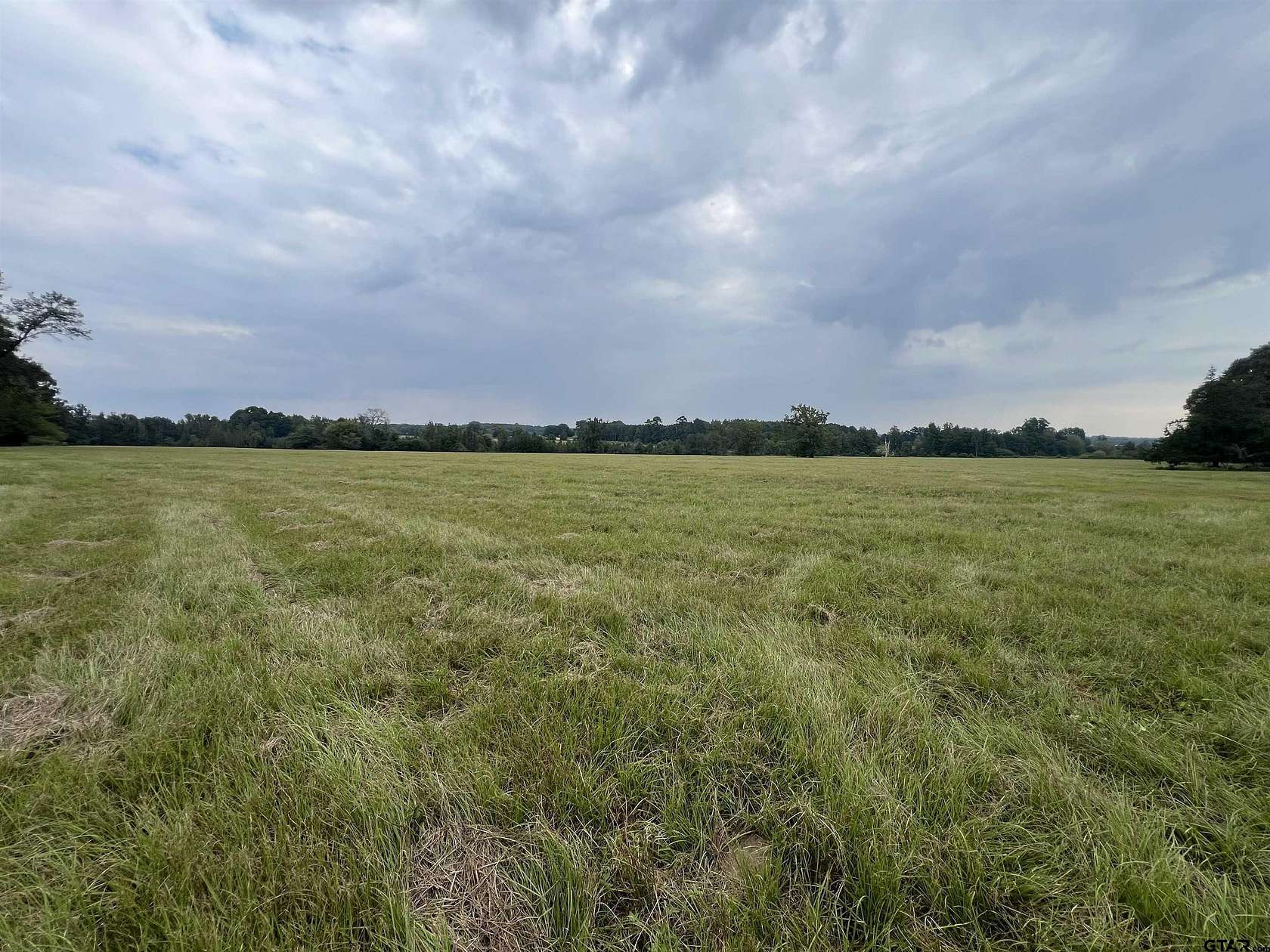 41.9 Acres of Agricultural Land for Sale in Naples, Texas