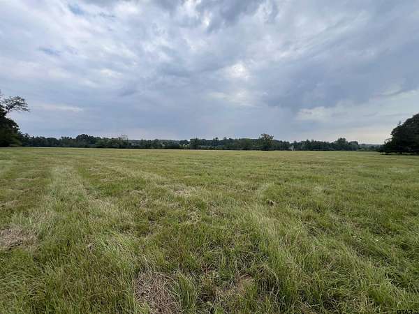 41.9 Acres of Agricultural Land for Sale in Naples, Texas