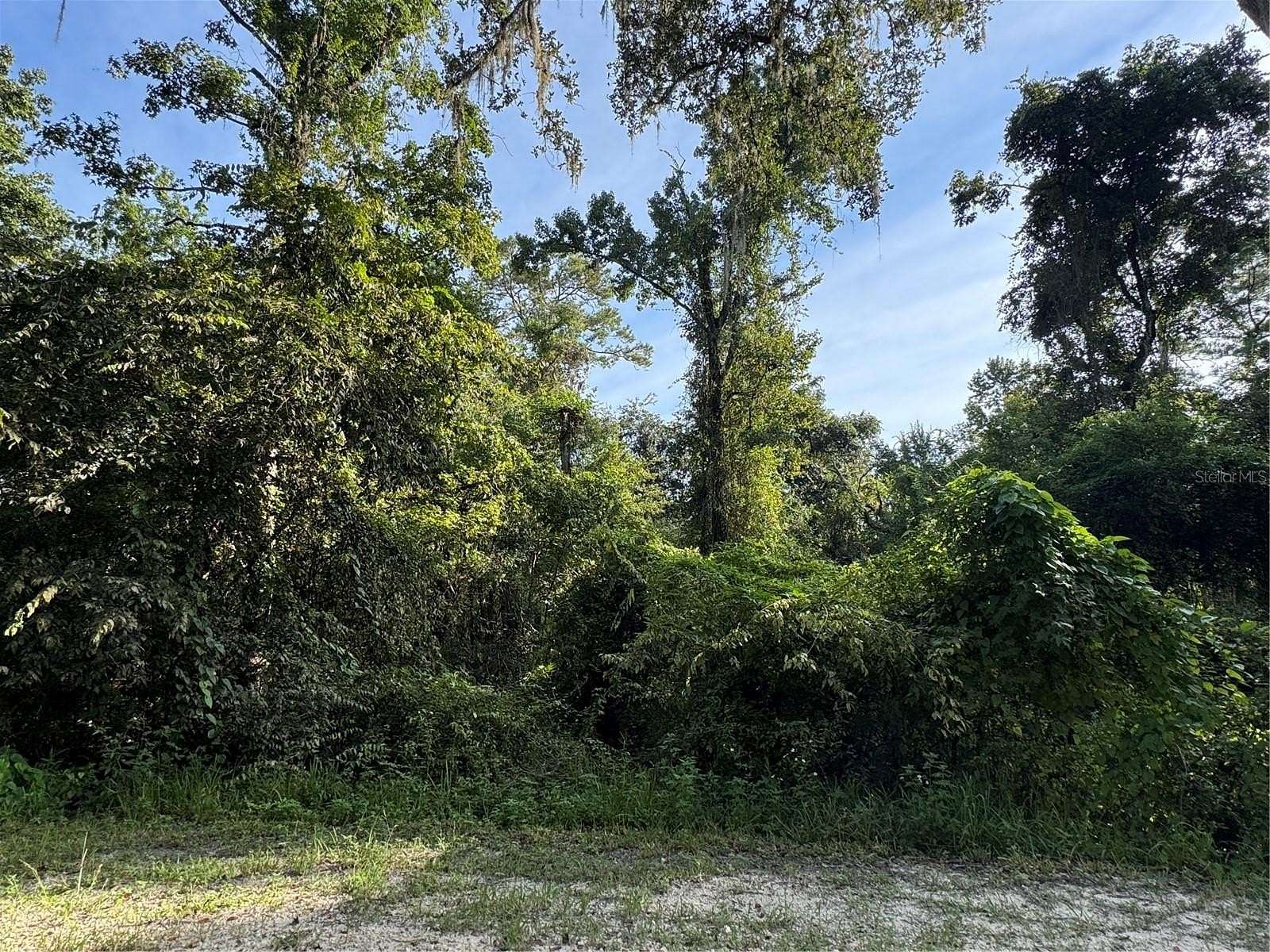 0.22 Acres of Residential Land for Sale in Dade City, Florida