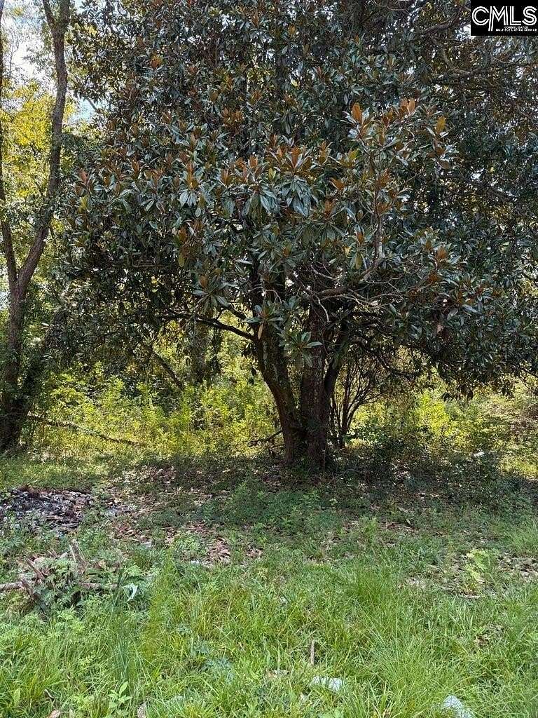 0.12 Acres of Land for Sale in Denmark, South Carolina