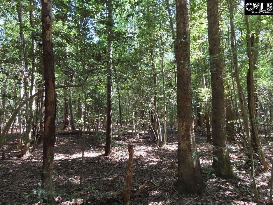26.7 Acres of Recreational Land for Sale in Leesville, South Carolina