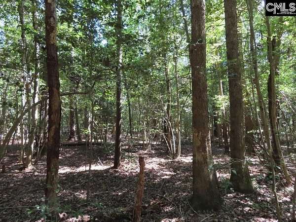 28.7 Acres of Recreational Land for Sale in Leesville, South Carolina