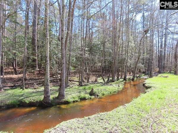 28.7 Acres of Recreational & Residential Land for Sale in Leesville, South Carolina
