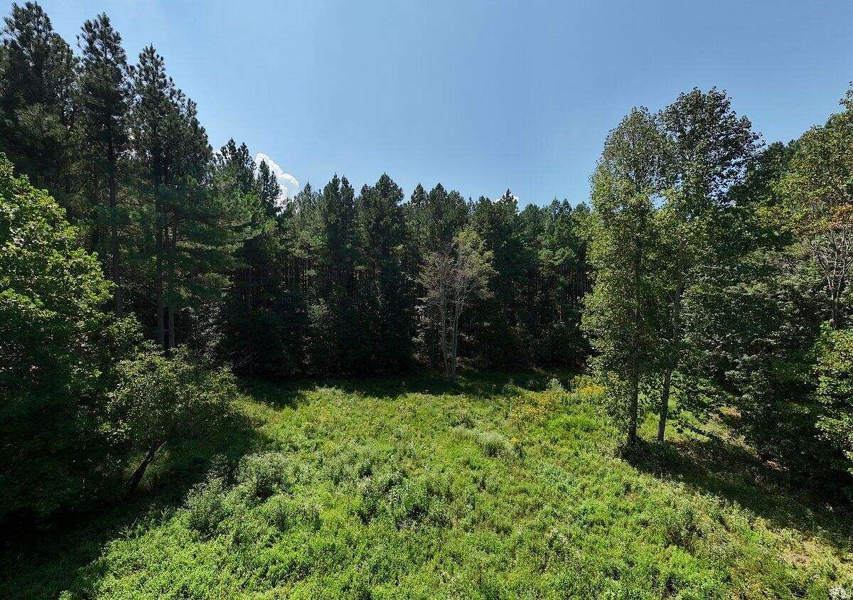 2 Acres of Residential Land for Sale in Haletown, Tennessee