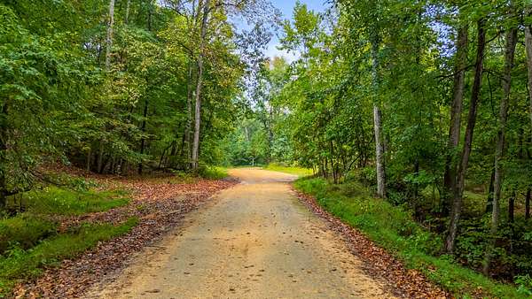 40.7 Acres of Recreational Land for Sale in Mount Pleasant, Tennessee