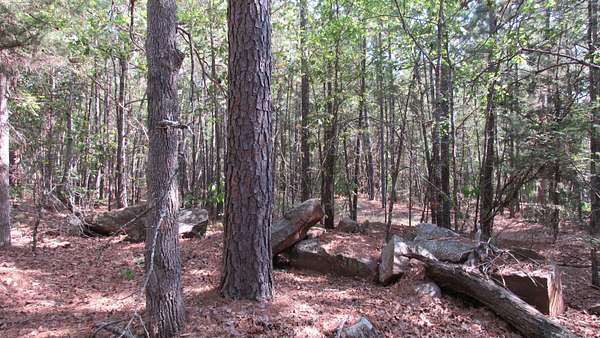 40 Acres of Land for Sale in Antlers, Oklahoma