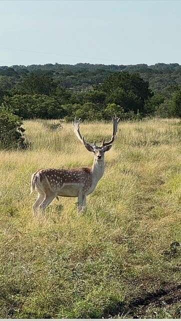 101 Acres of Land for Sale in Mountain Home, Texas