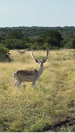 101 Acres of Land for Sale in Mountain Home, Texas