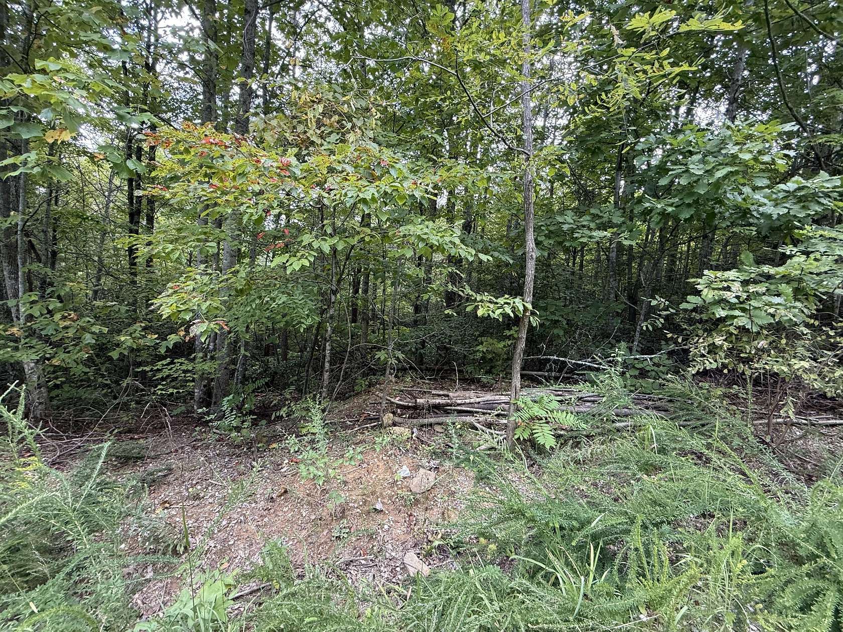 12.8 Acres of Recreational Land for Sale in Cosby, Tennessee