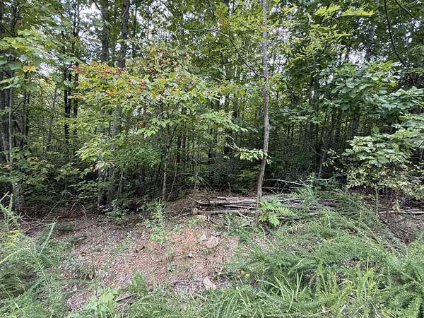 12.8 Acres of Recreational Land for Sale in Cosby, Tennessee