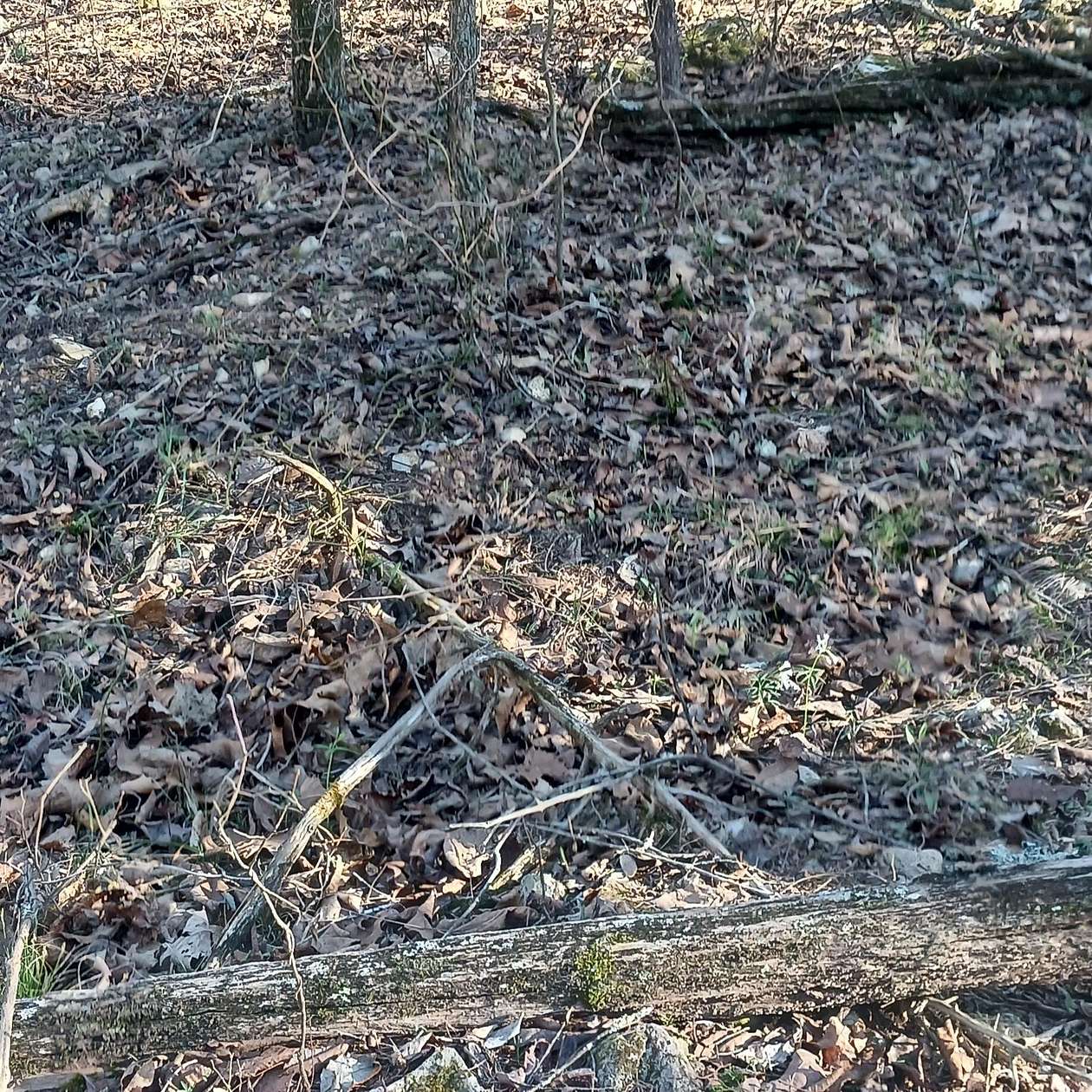 0.05 Acres of Land for Sale in Theodosia, Missouri