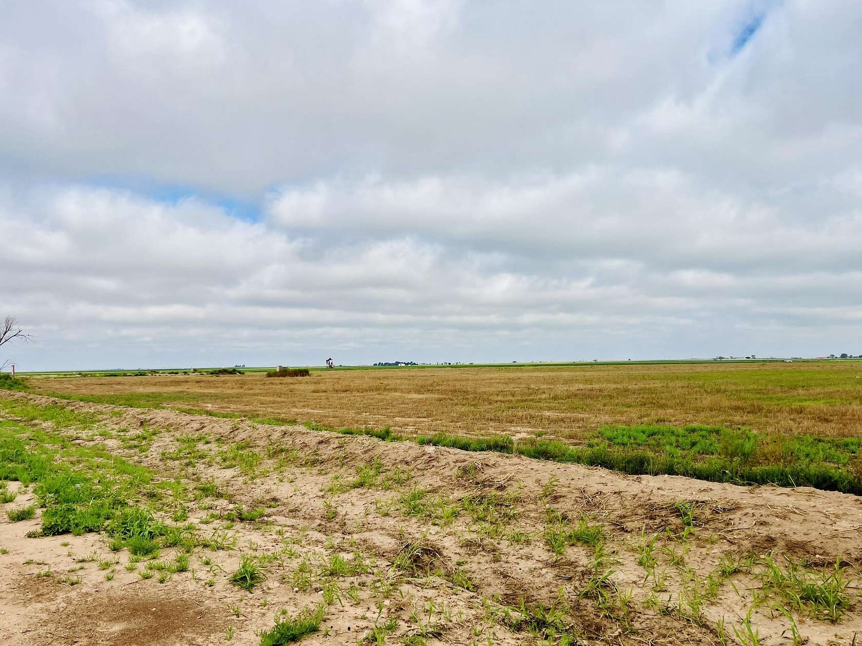 11.1 Acres of Land for Sale in Levelland, Texas