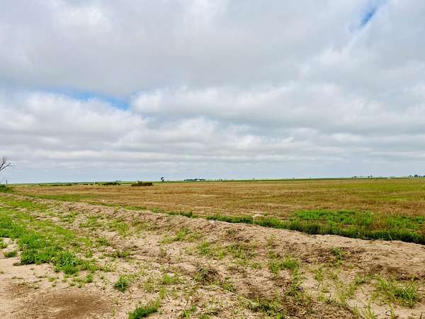 11.1 Acres of Land for Sale in Levelland, Texas