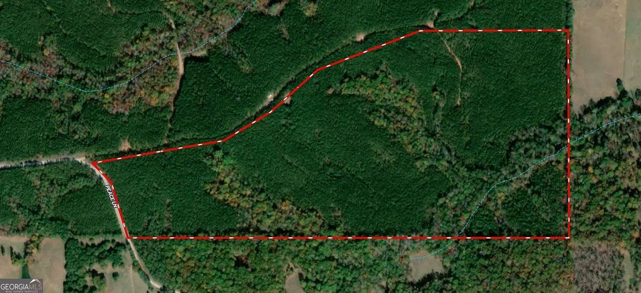 99.6 Acres of Recreational Land for Sale in Franklin, Georgia