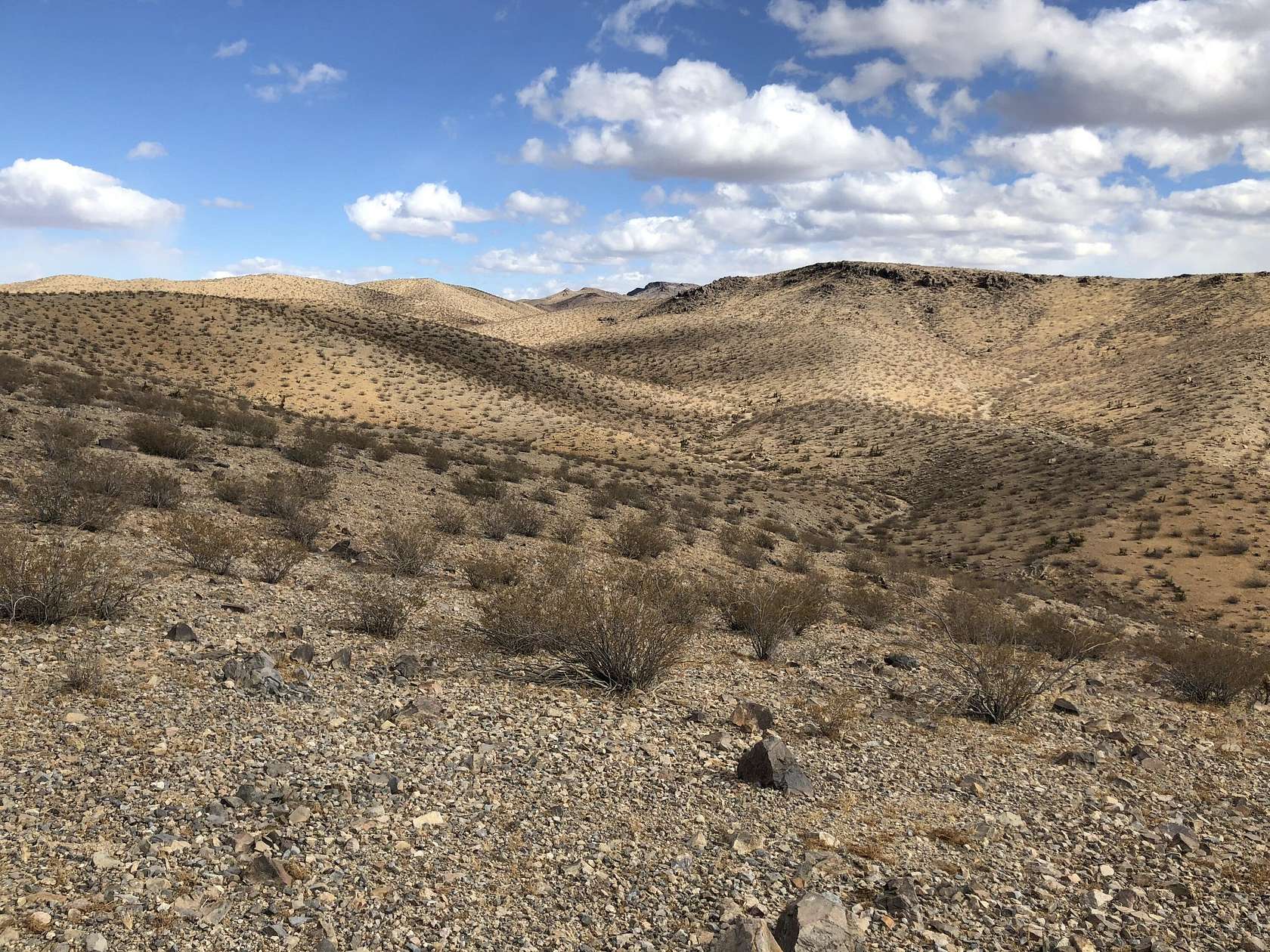 40 Acres of Recreational Land for Sale in Barstow, California