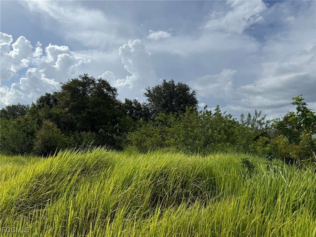 13.3 Acres of Land for Sale in LaBelle, Florida